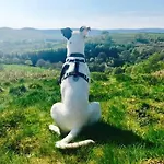 Cosy & Chic Dog Friendly Apartment, * Settle