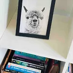 Daire Cosy & Chic Dog Friendly Apartment,