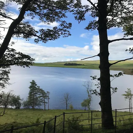 Cosy & Chic Dog Friendly Apartment, 公寓