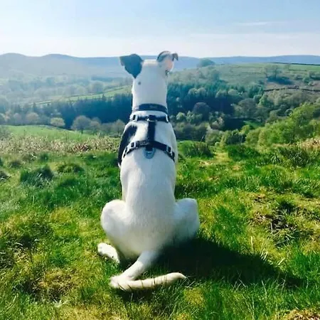 Cosy & Chic Dog Friendly Apartment, * Settle