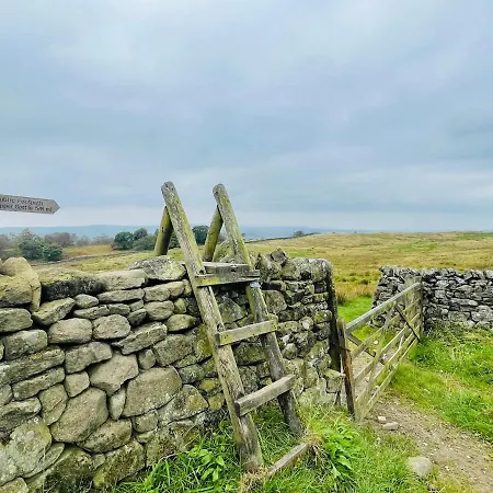 Cosy & Chic Dog Friendly Apartment, Apartament *