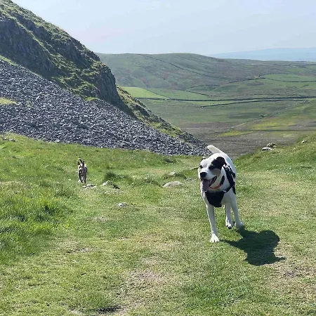 Cosy & Chic Dog Friendly Apartment, * Settle