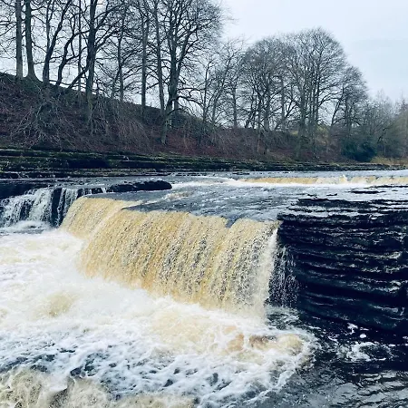 Apartament Cosy & Chic Dog Friendly Apartment, Settle