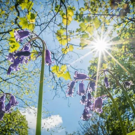 Cosy & Chic Dog Friendly Apartment, Apartament Settle